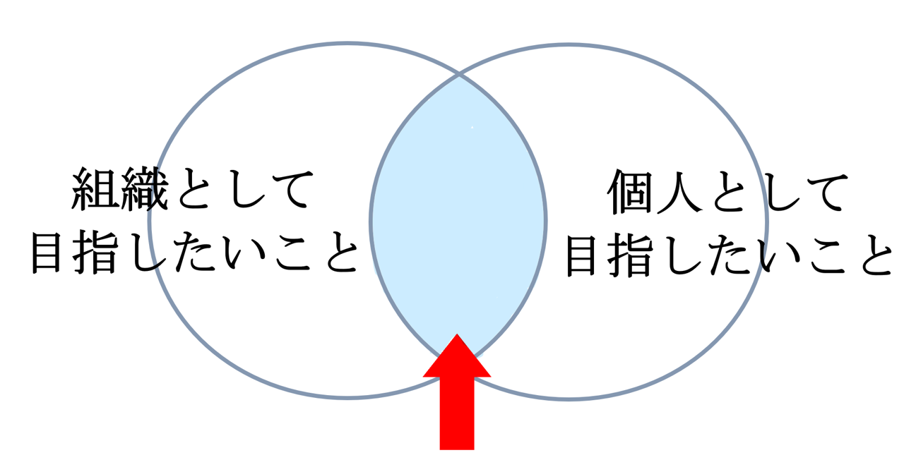創造性プログラム.png